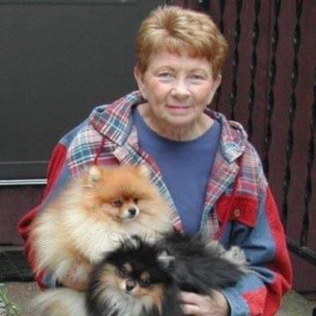 Donna M. Diephuis