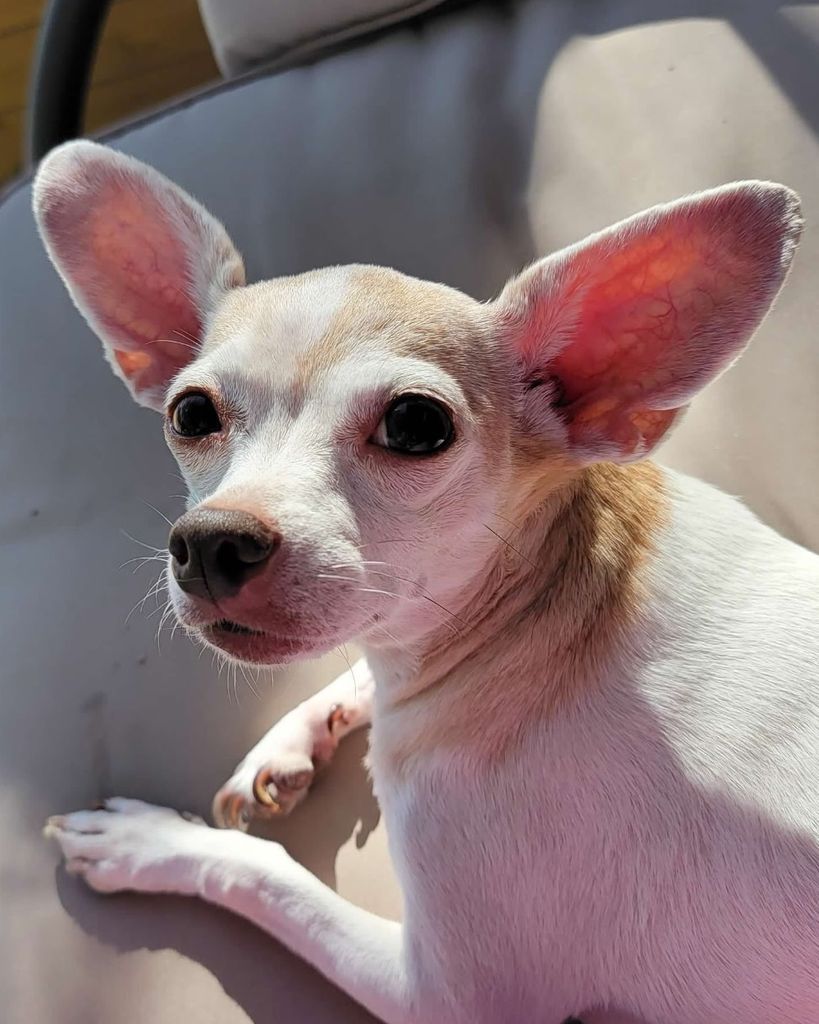 Kandy 🖤 Profile Photo