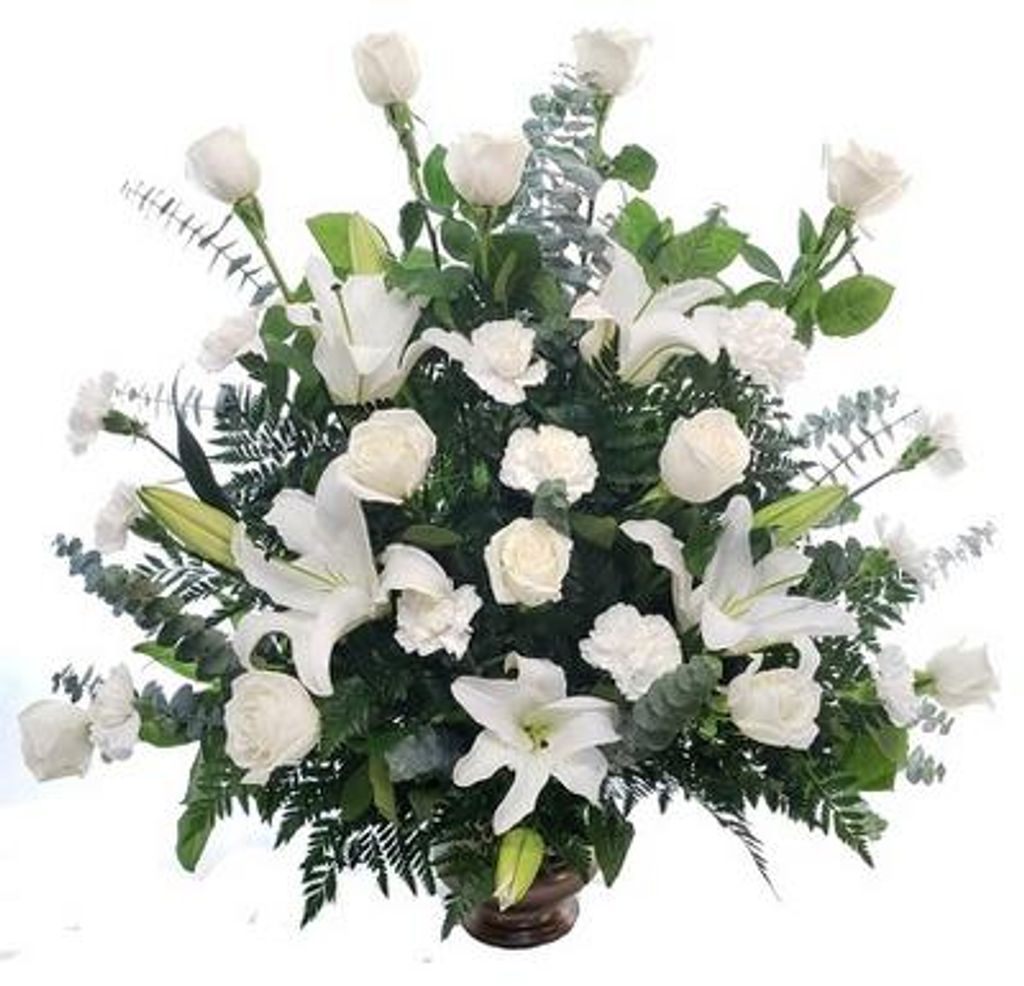 Sammy Watson Profile Photo