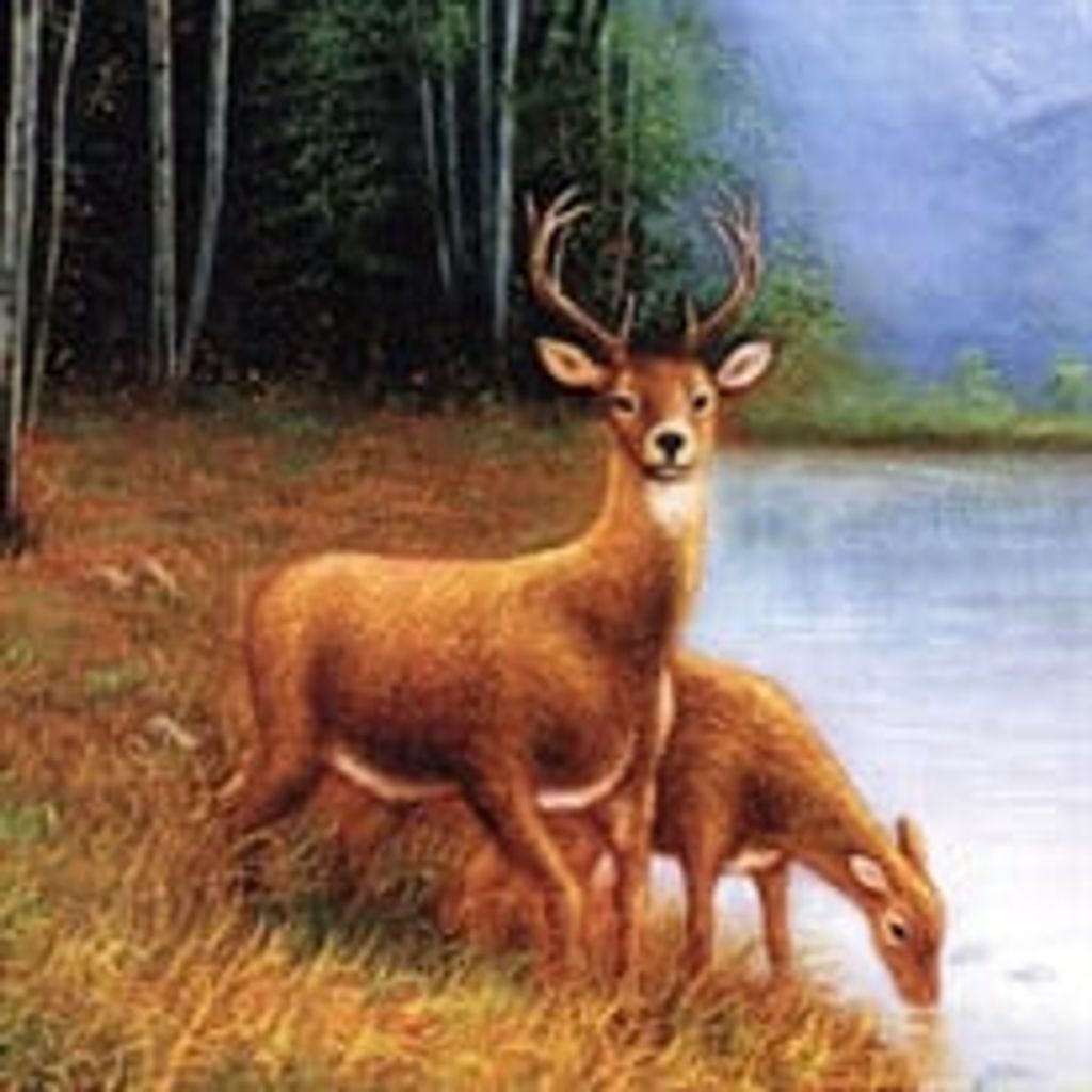 Terry Lee Dunbar Ii