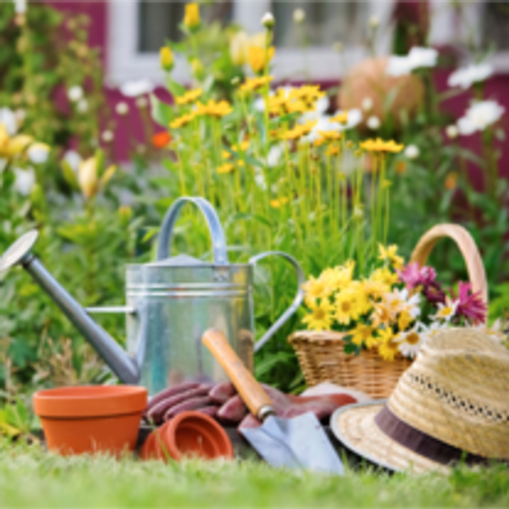 Elizabeth "Betty" Sullivan