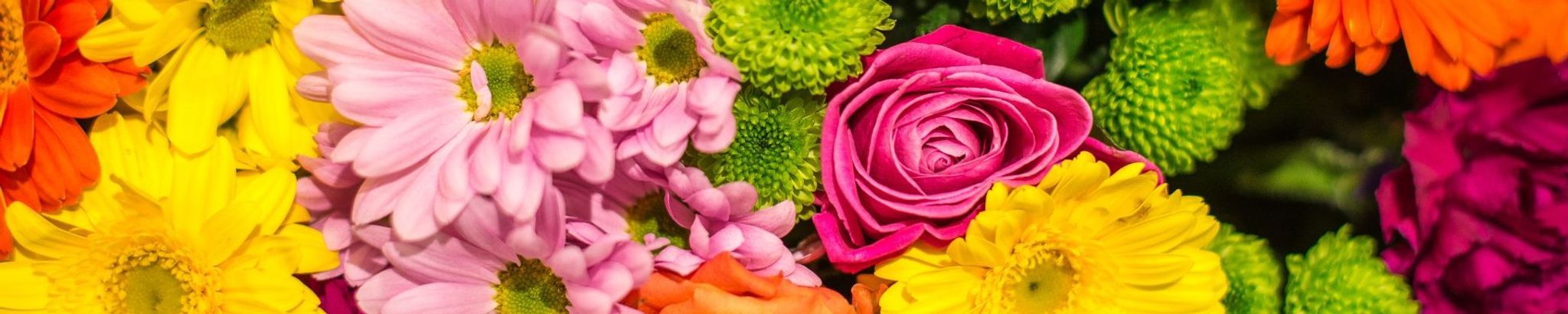 Cover photo for Joan C. Sandberg's Obituary