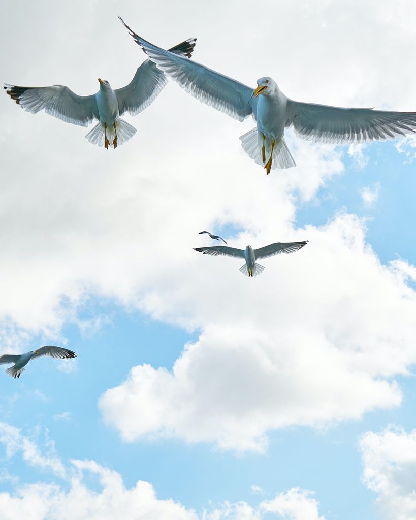 Alvin James Simmons, Sr.