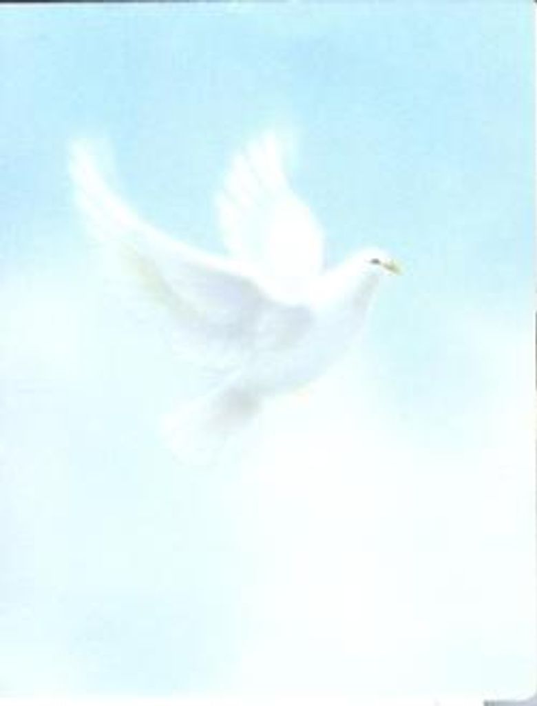 Barbara Nell Torres Profile Photo