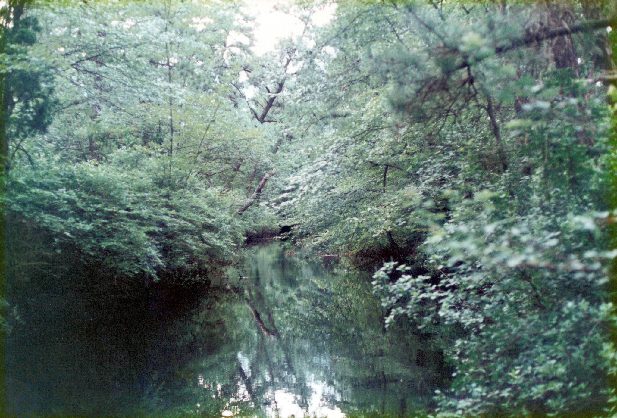 Cover for Terry Patton's Obituary