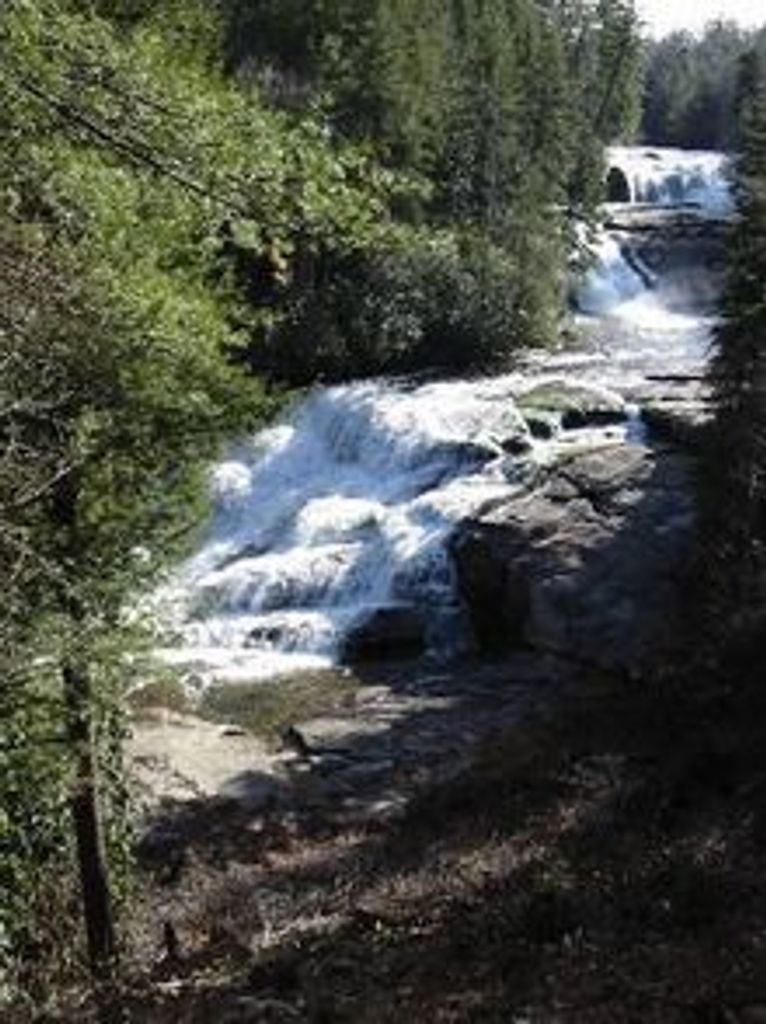 Joan Parsons Profile Photo