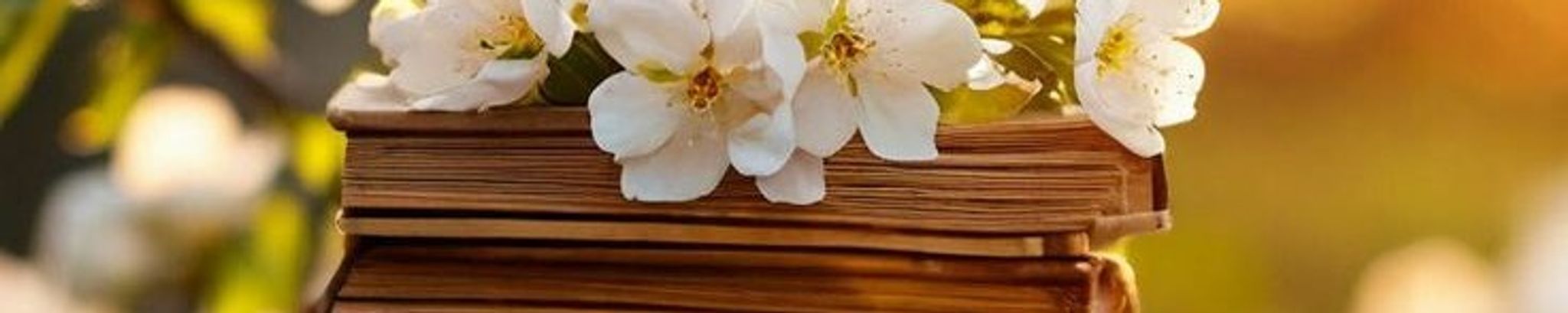 Cover photo for Felicia Jane Bowman's Obituary