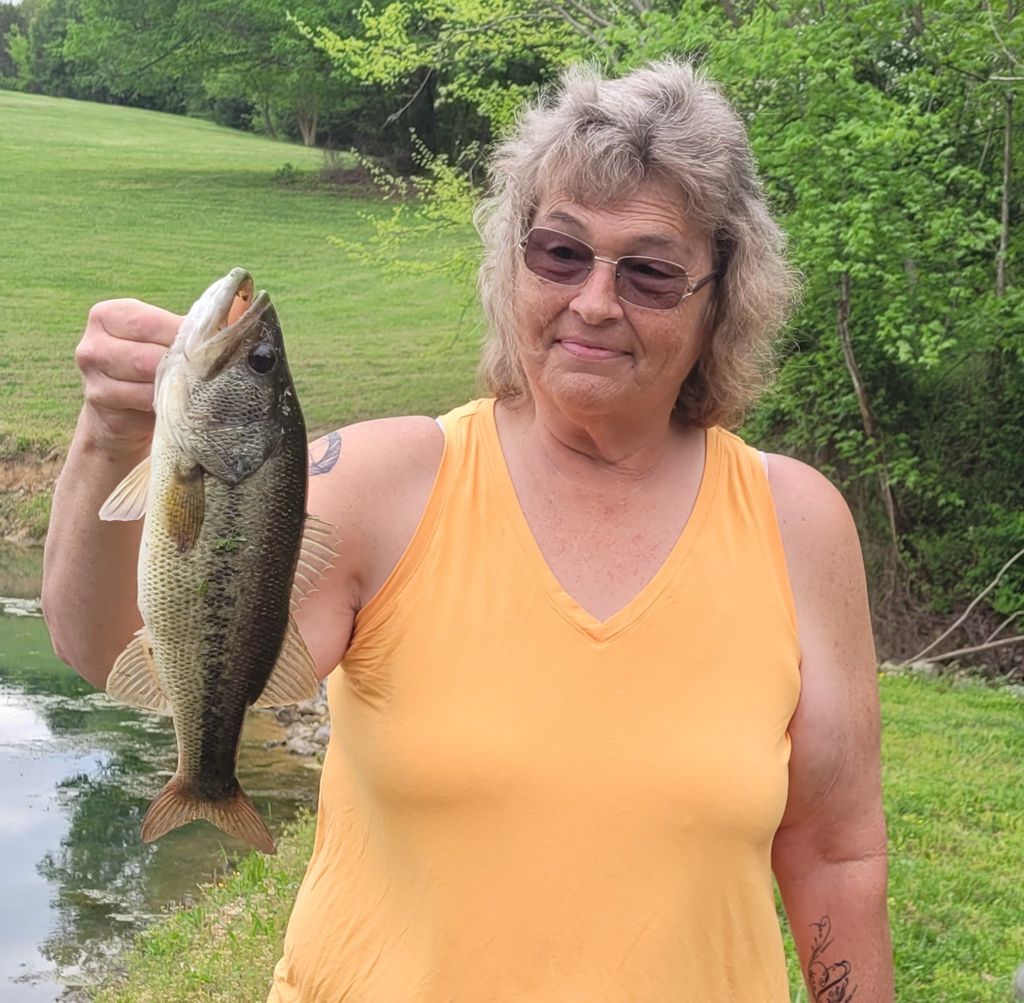 Tina Stephens