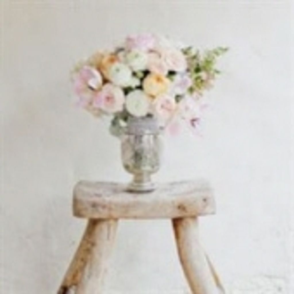 Patricia Tipaldos Helms