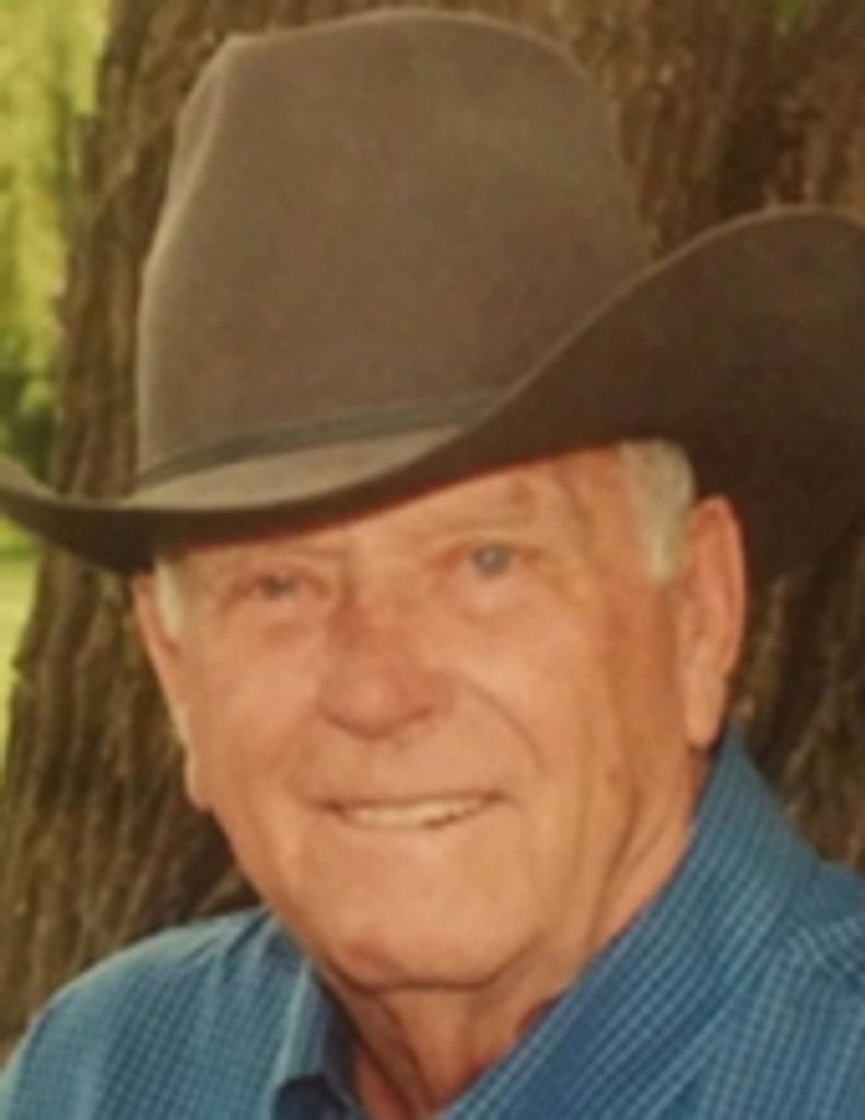 Ted Whitmill