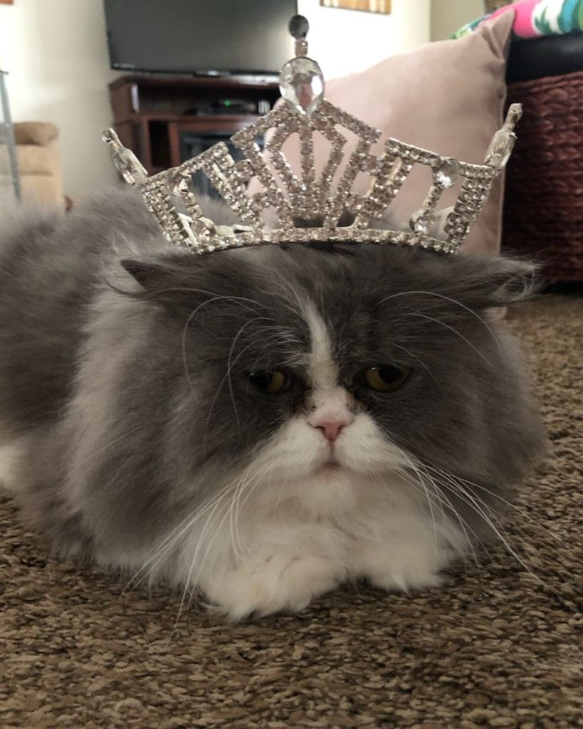 Sox Vikeras Profile Photo