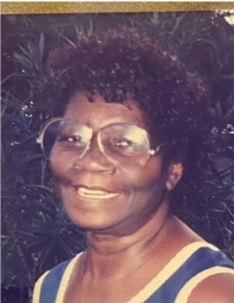 Vera Mae Yarn Profile Photo