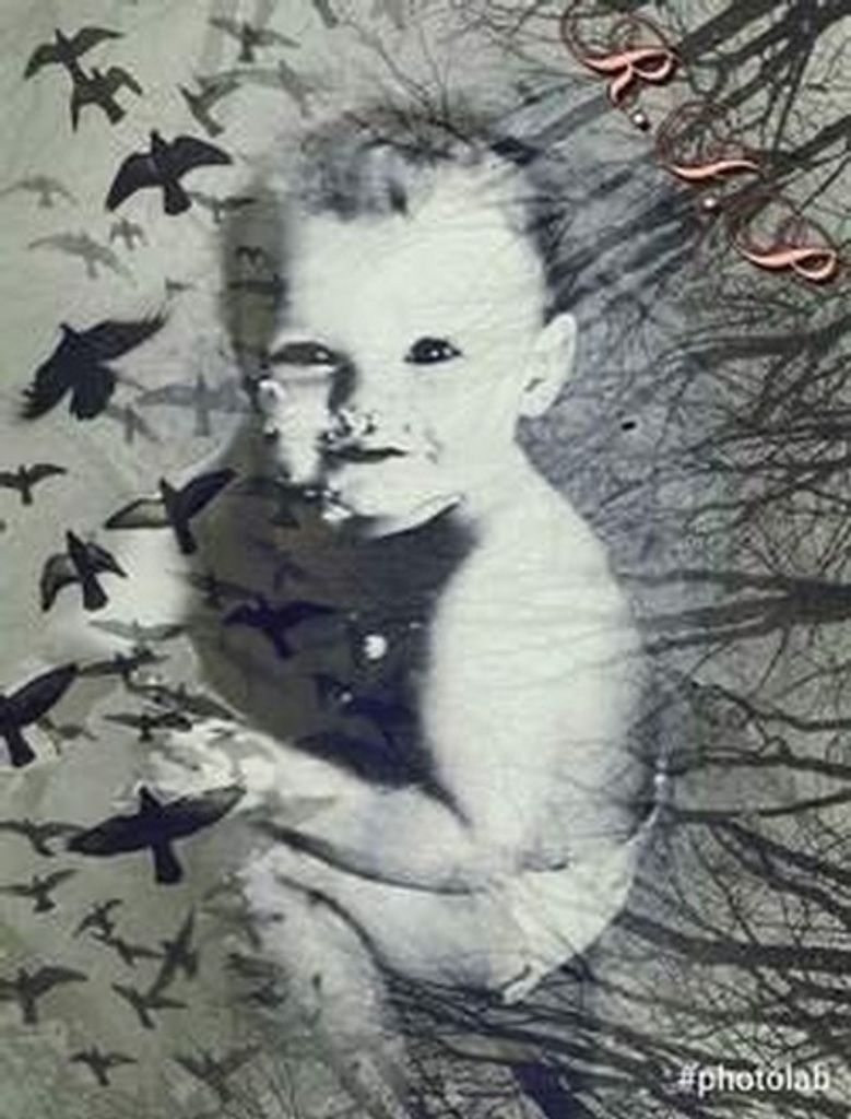 Shane Douglas Hawkins Jr.