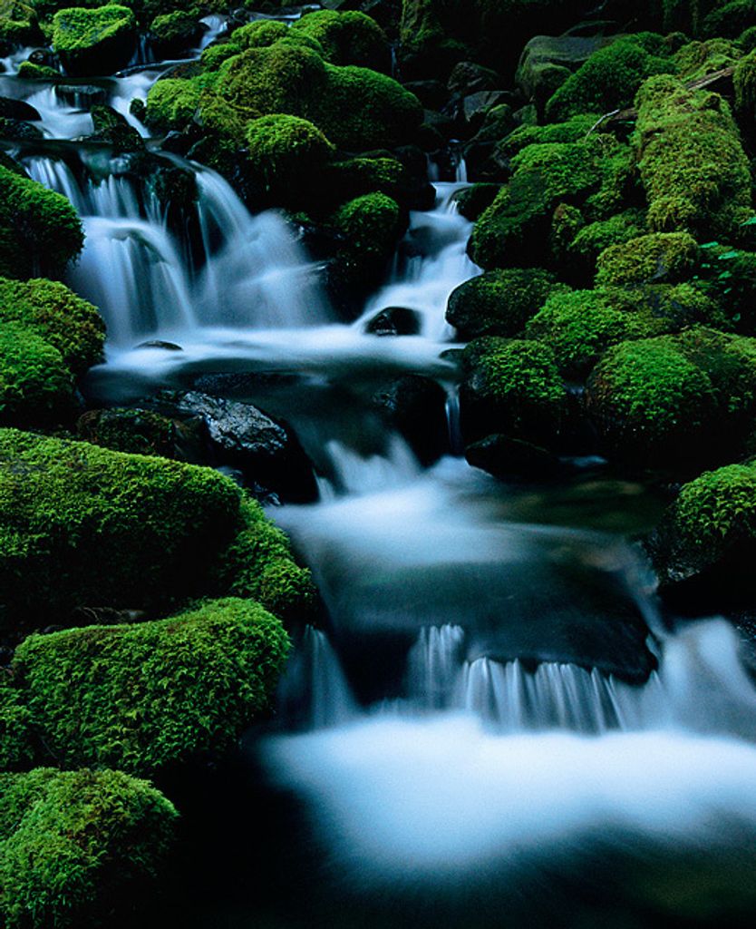 Helen Lucille Tipton