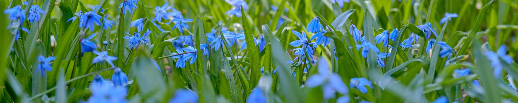 Cover photo for Lynnelle Renee Agnew's Obituary