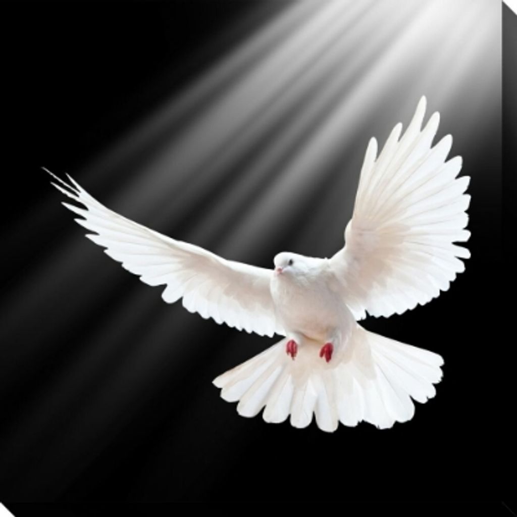 Colleen M Knoche Profile Photo