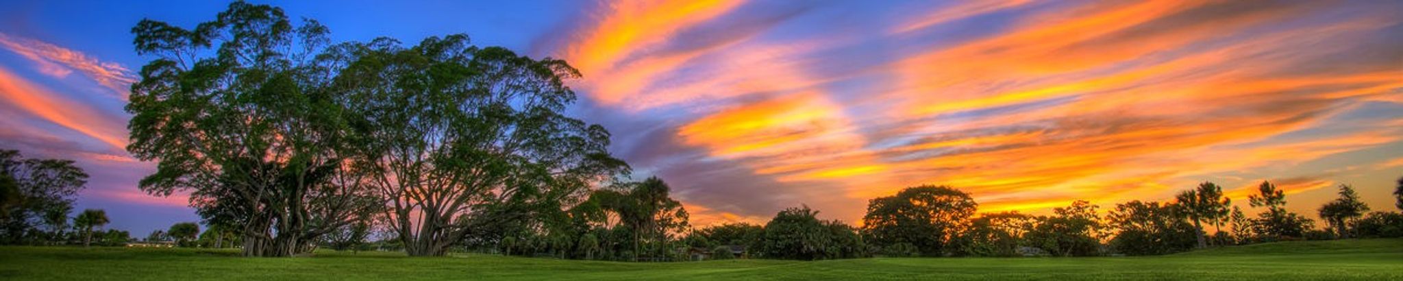 Cover for Gregory L. Schild's Obituary