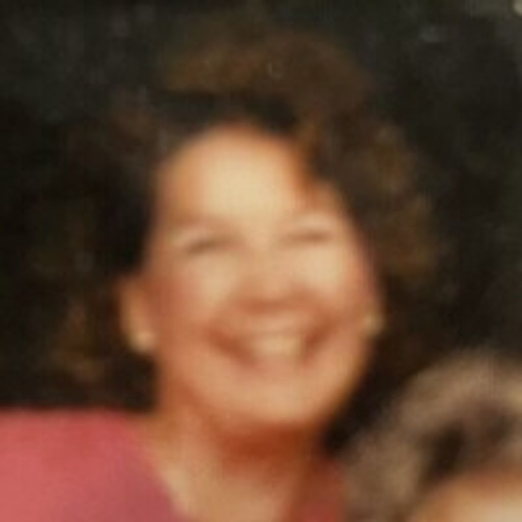 Karen S Stelzer