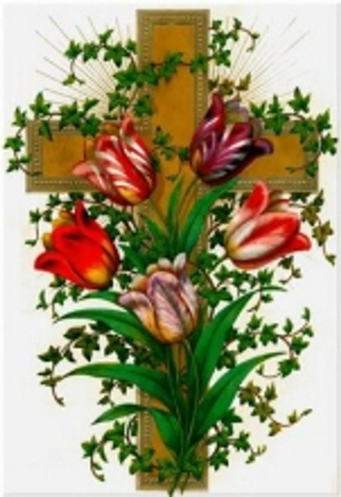 Debra Mary Klinefelter Profile Photo