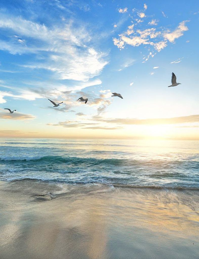 Ruth A. Bahr Profile Photo