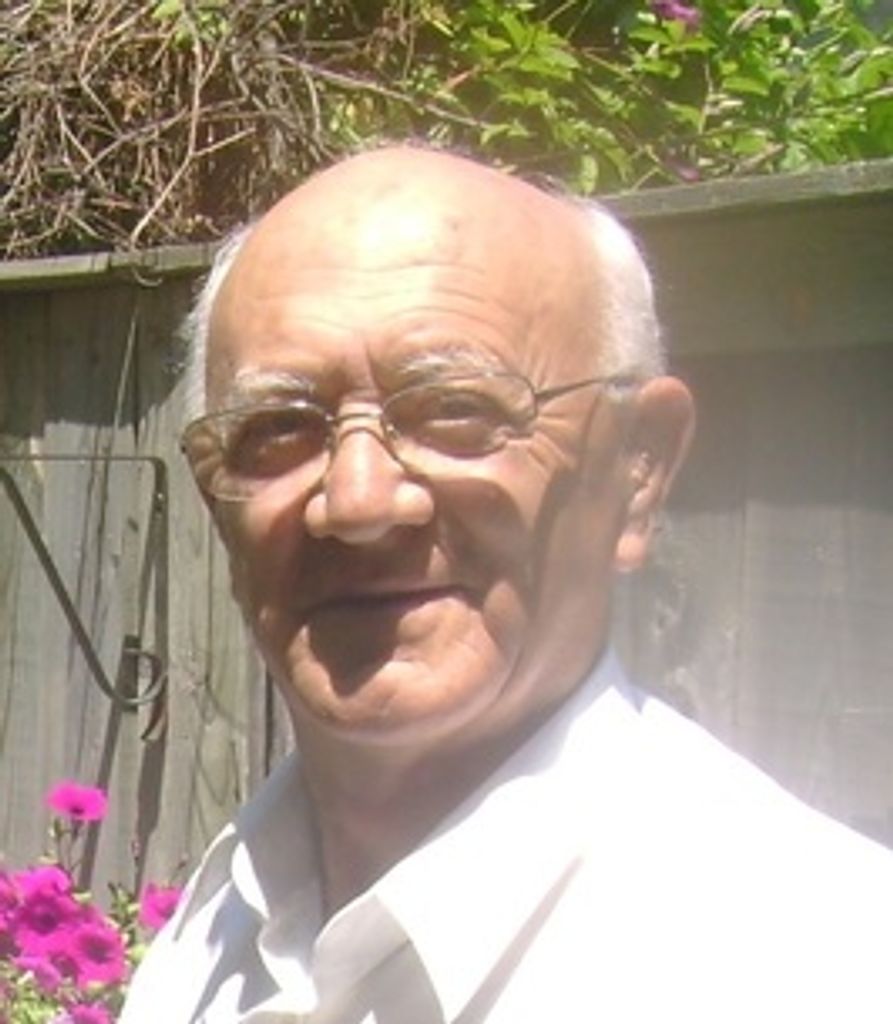 Domenico De Simone