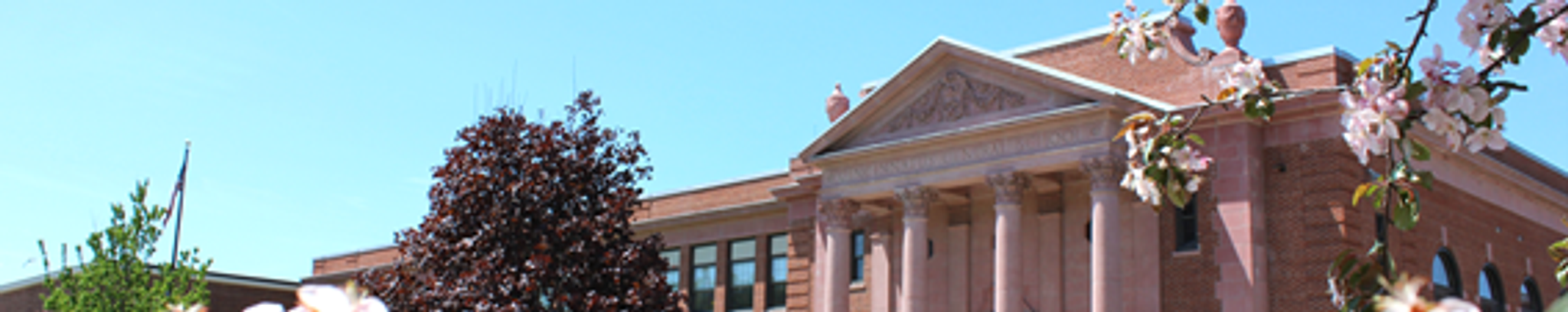 Cover photo for Terena Loomis's Obituary