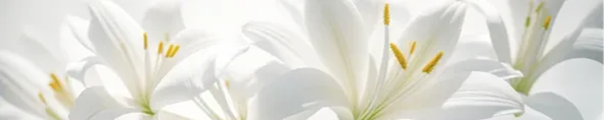 Cover photo for Delia J. Aguirre's Obituary