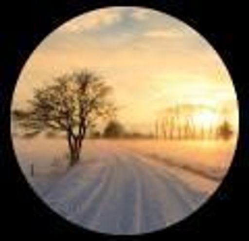 Jerry Sanchez Profile Photo