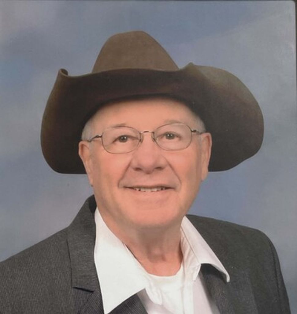 Merle J. Sehi Profile Photo