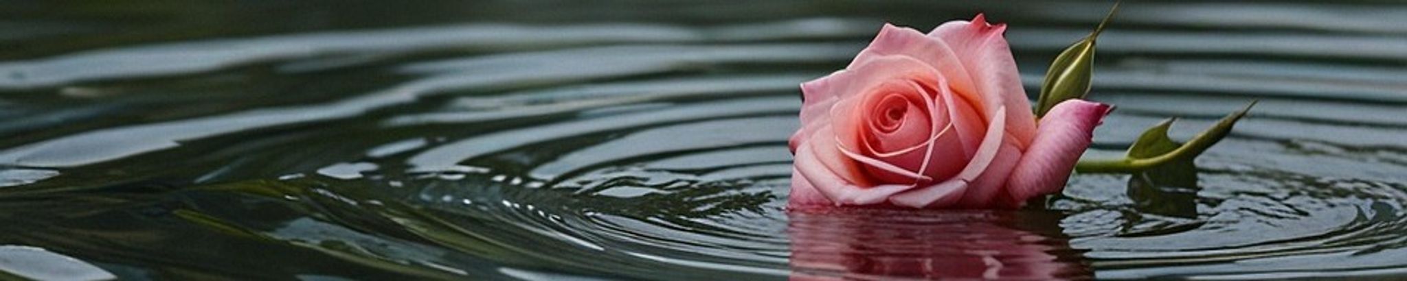 Cover for Darlene Kliethermes's Obituary