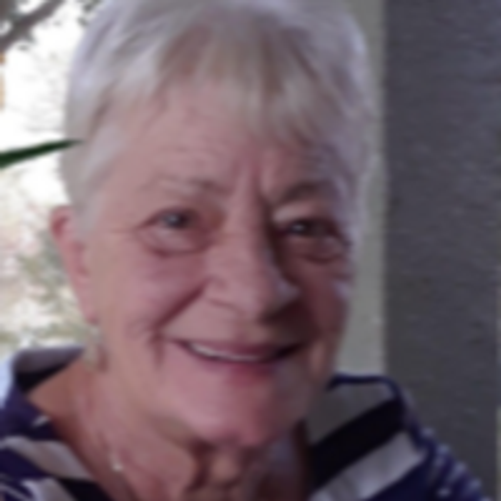 Nancy Lee Curcio Profile Photo