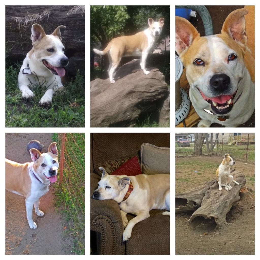 Libby Lou-Ann “Bear” Bales