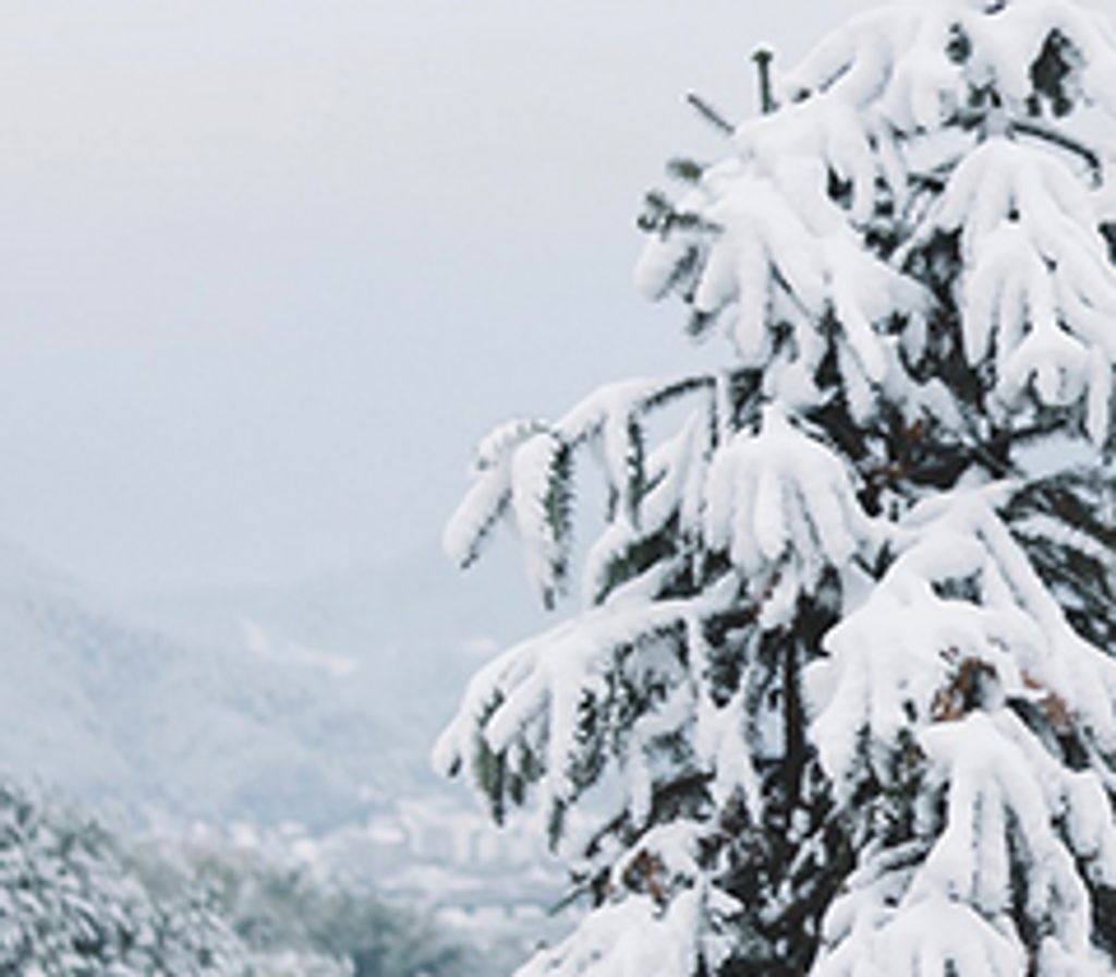 Collin Hagan (Hagan)