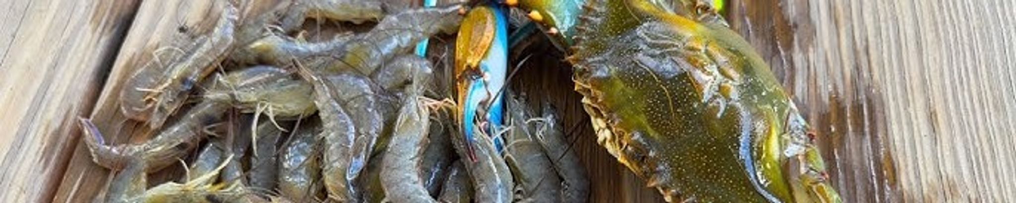 Cover for Michael P Landry's Obituary