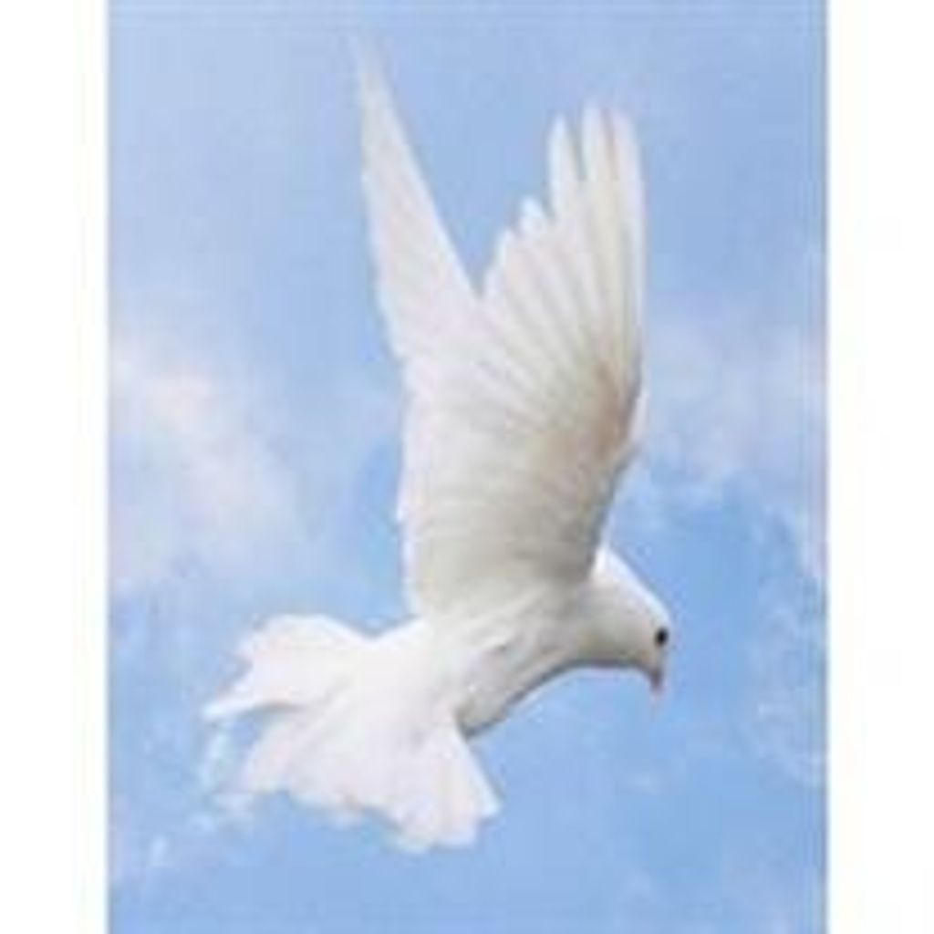 Maximous Michael King Fuller