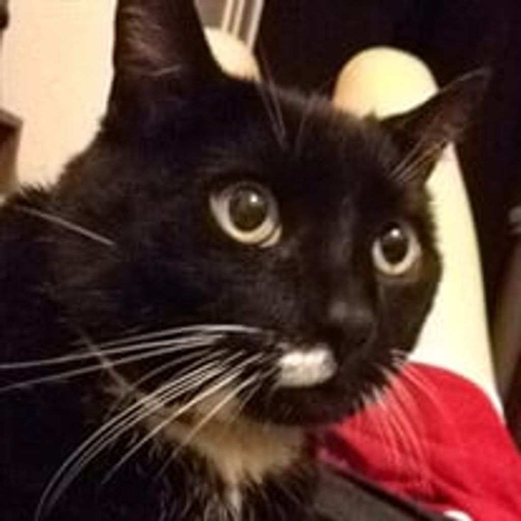 Buddy Herrera Profile Photo