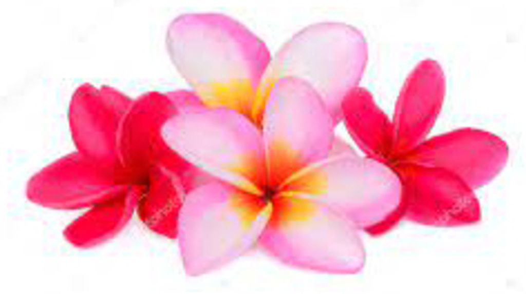 Melisha Hanalei Tinovao Sefita Chongnee Profile Photo