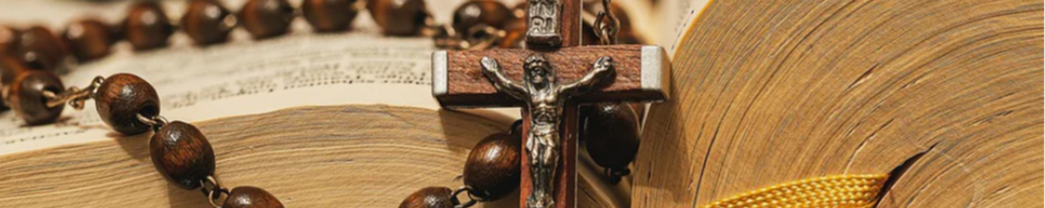 Cover photo for Patricia Coy's Obituary