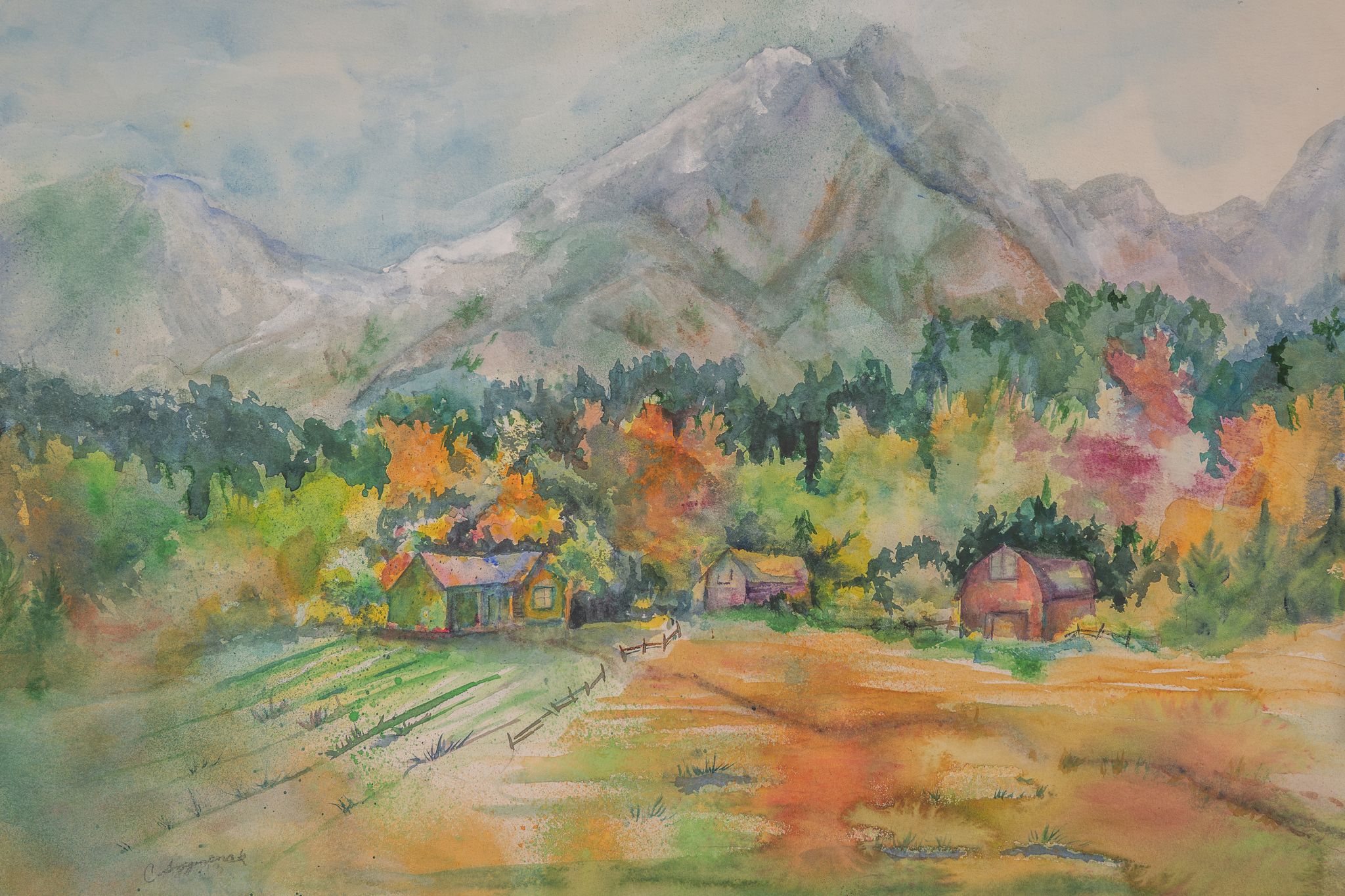 Cover for Cathryn Joan Angus Szymczak's Obituary