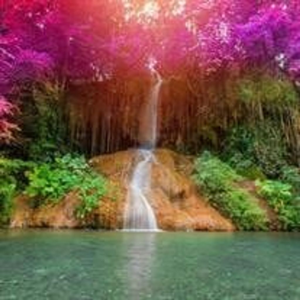 Patricia Lois Stewart