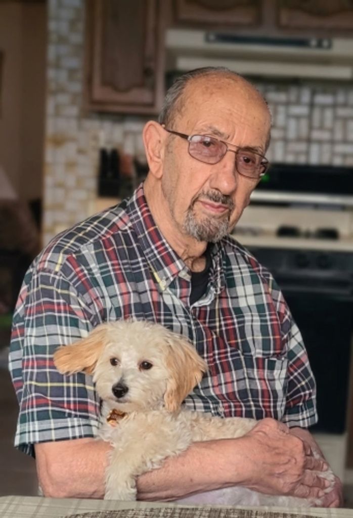 Peter Stecca Profile Photo