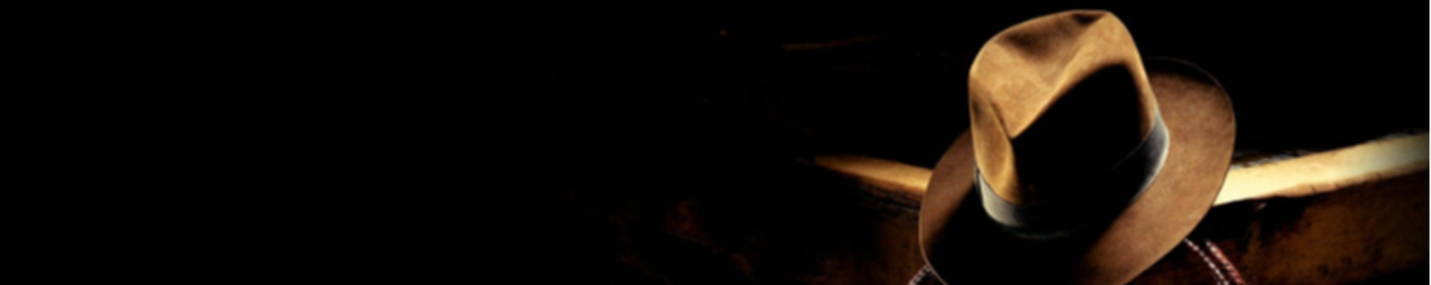 Cover photo for Indy's Obituary