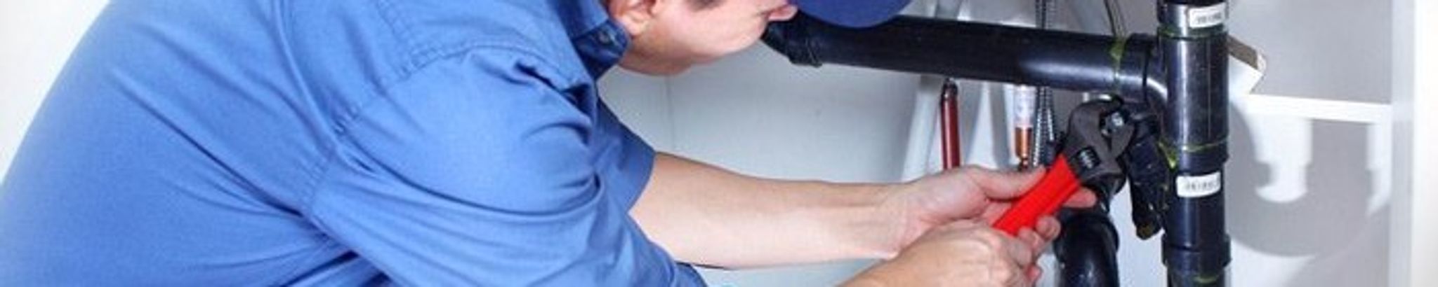 Cover for Wesley Shields's Obituary