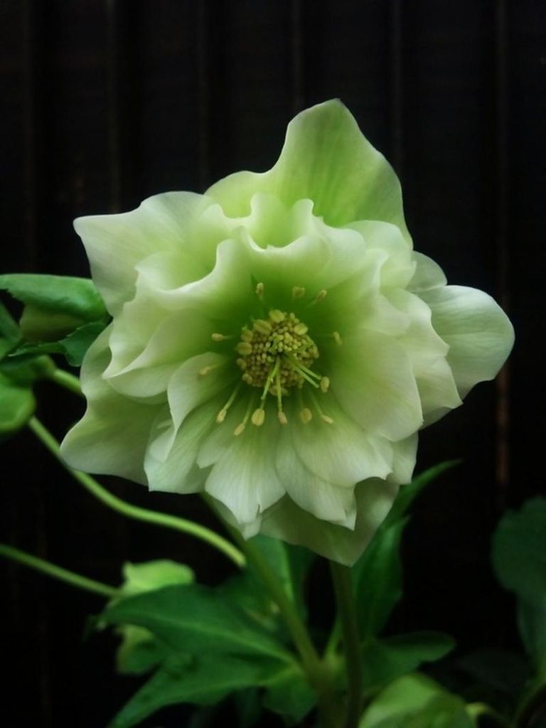 Rita Schector Profile Photo