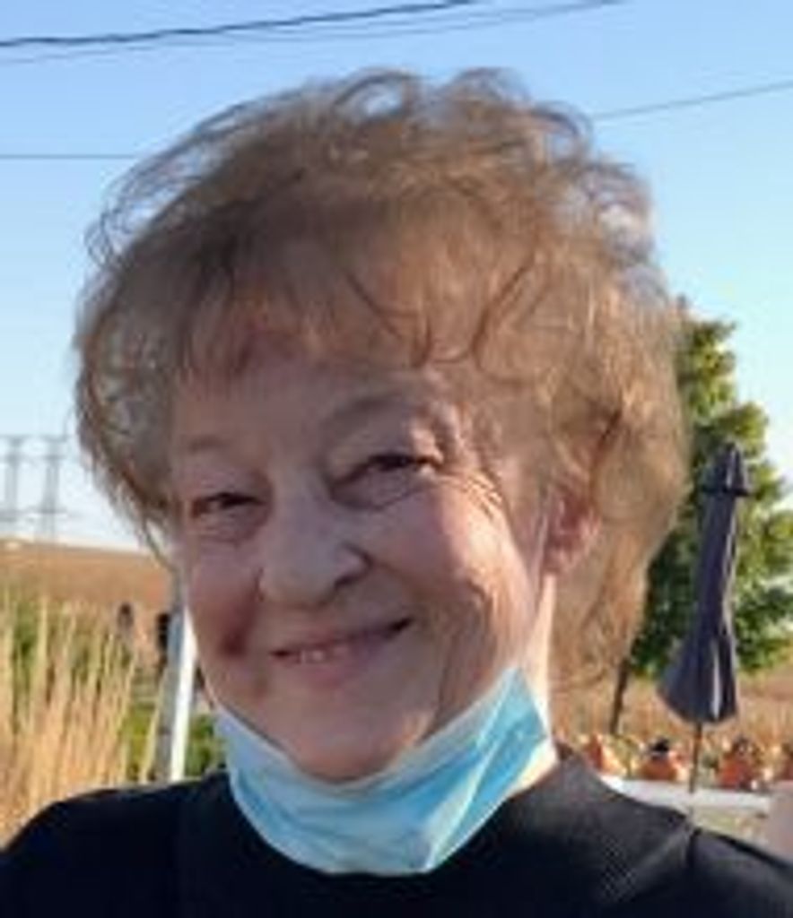 Brenda Carol (Webb)  Seidell