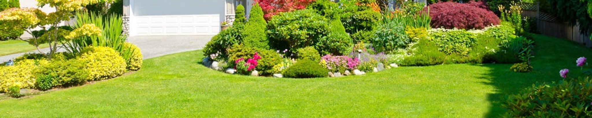 Cover for Mark Steven White's Obituary