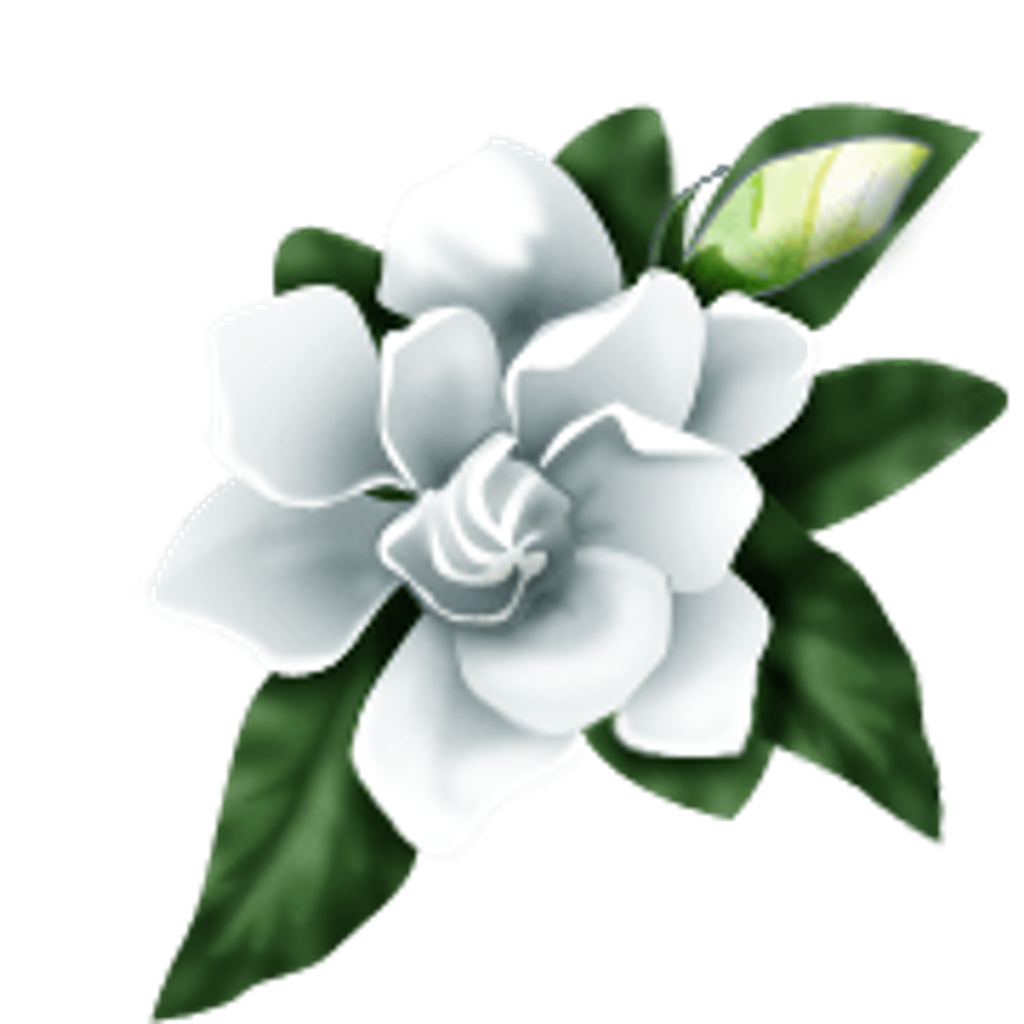 Dorothy Frances Collins