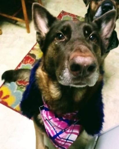 Luna Mowry's obituary image