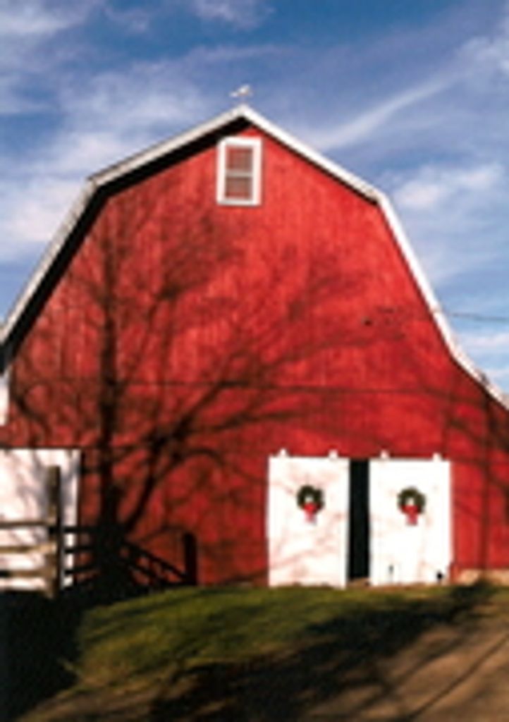 Joyce I. (Thedens)  Finney