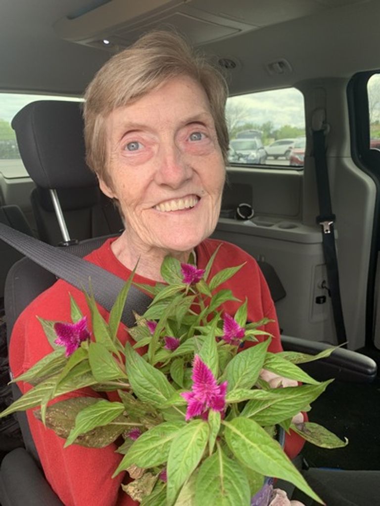 Fern D. Lowe Profile Photo